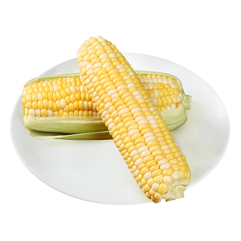 金银玉米约600g