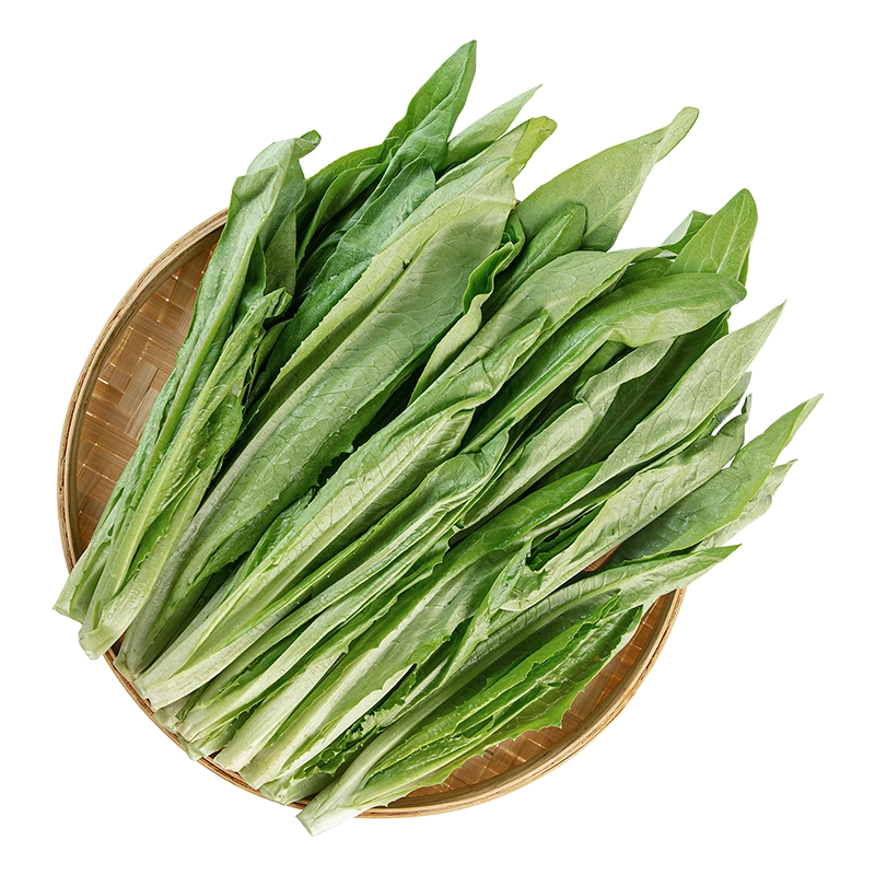 油麦菜苗约300g