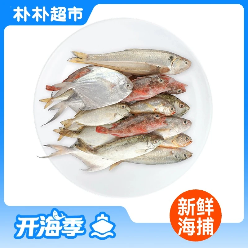 【开海季】鲜捕海杂鱼C款800g/份