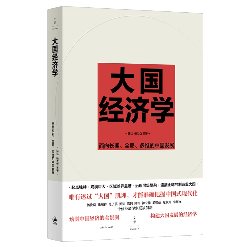 世纪好书 大国经济学：面向长期、全局、多维的中国发展