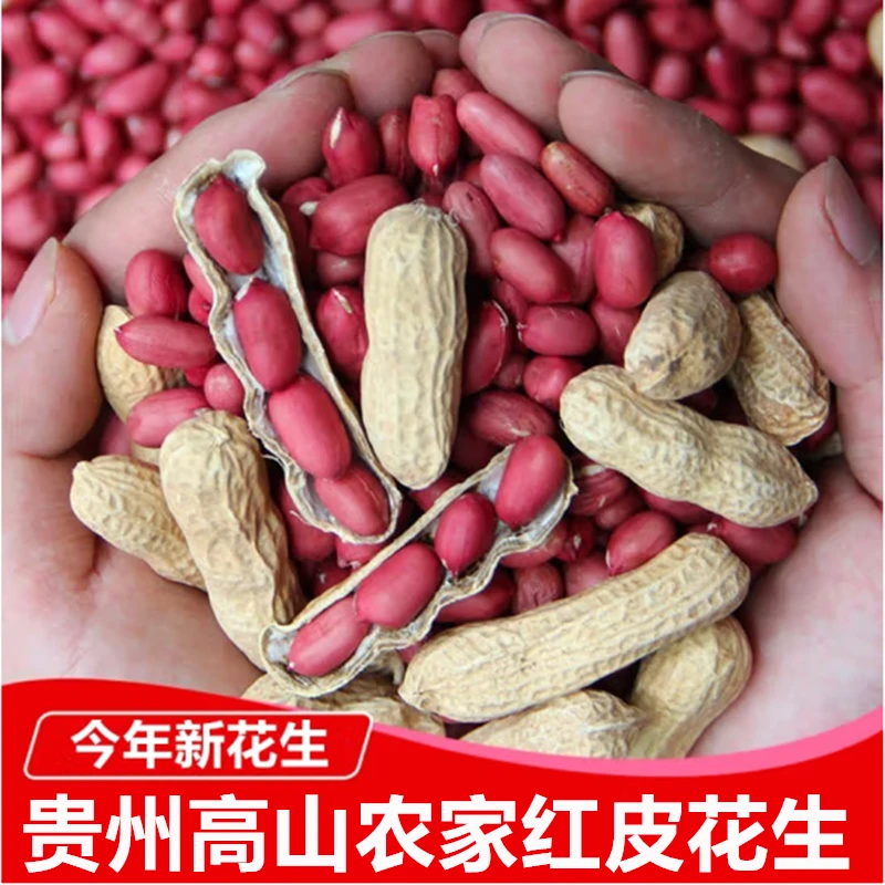 红皮花生米农家小粒生花生仁红衣花生米仁杂粮红米花生米小红花生
