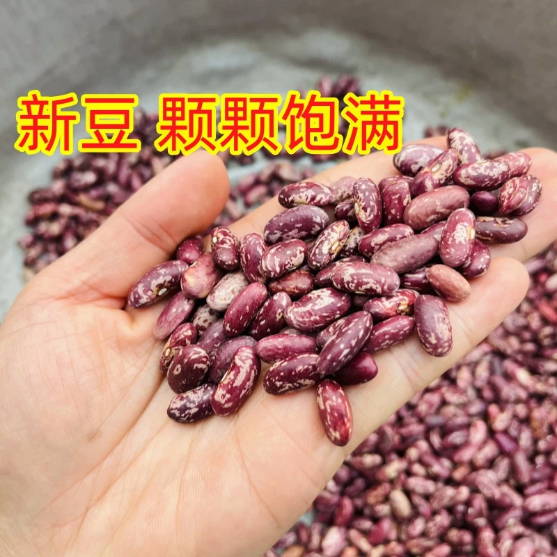 农家五谷杂粮贵州特色新花豆芸豆四季豆1斤1袋装