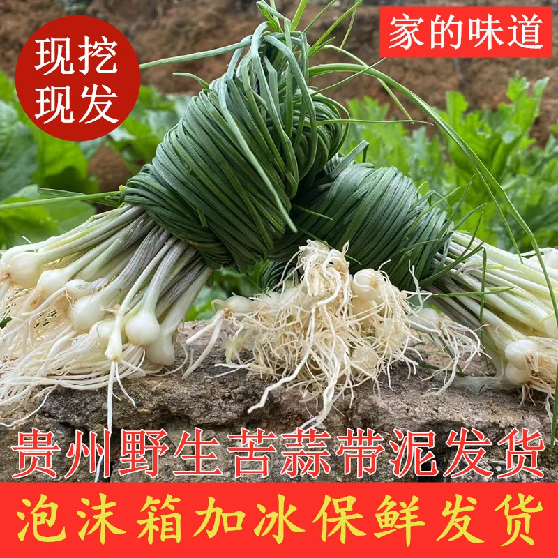 贵州野生新鲜苦蒜绿色蔬菜农产品野小葱现挖带泥不洗发货1斤装