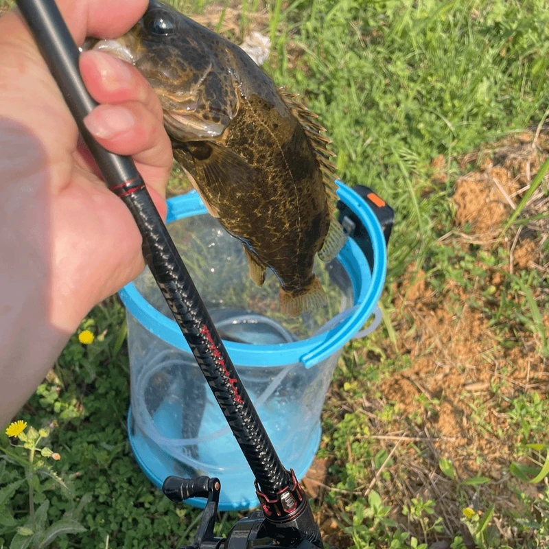 简鳜变调79克超轻全SIC双重感度极简路亚钓具碳纤维超快调虫竿