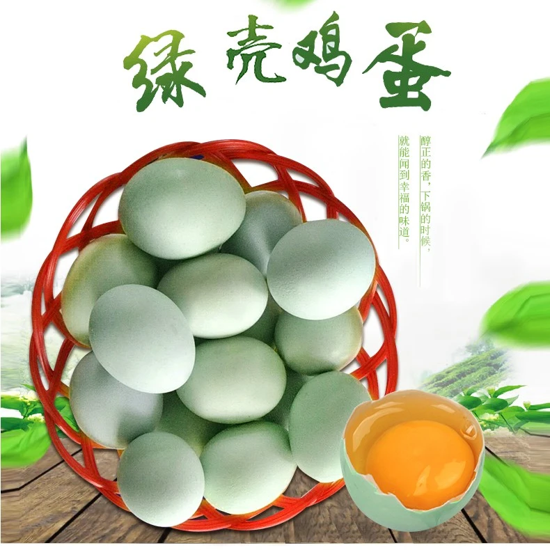 诺水河农村散养乌鸡蛋 绿壳鸡蛋