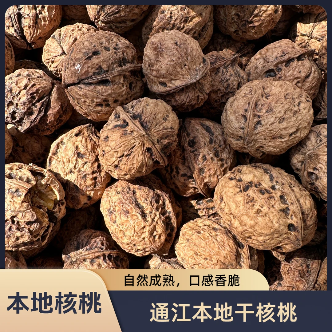 四川通江本地干核桃