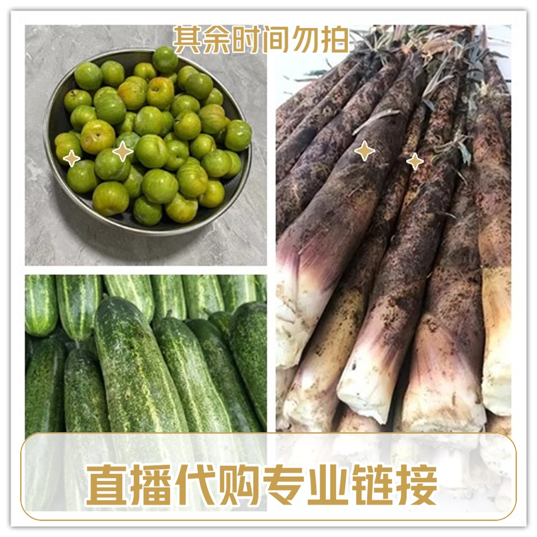 松柏 农村赶集直播邮费补差价使用 拍下留言备注不留言无法发货