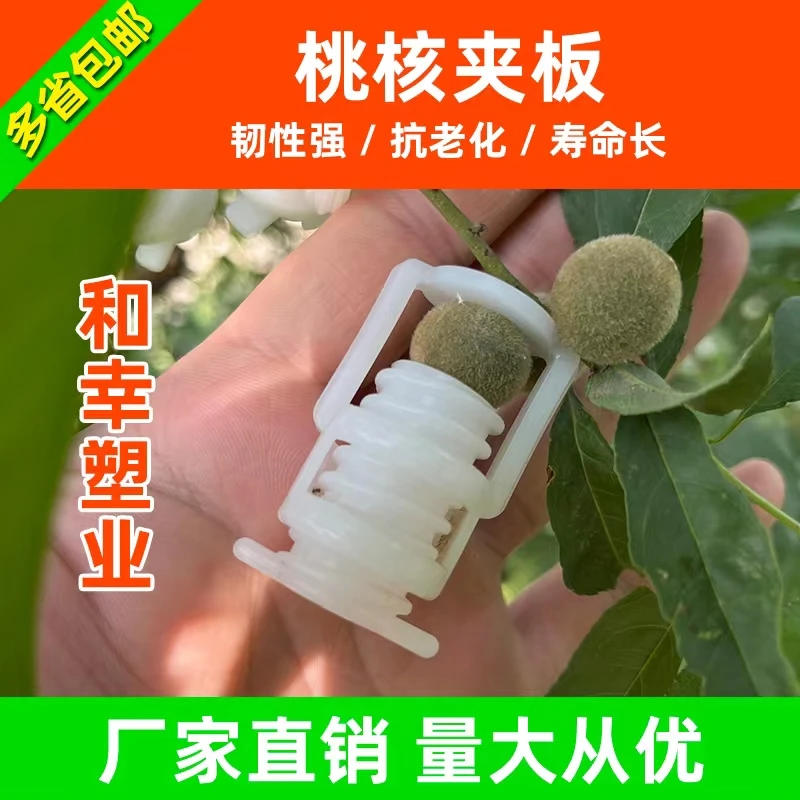 秦岭龙纹桃核夹板文玩金刚套管定型脑纹猴头手串模具手串定型夹套