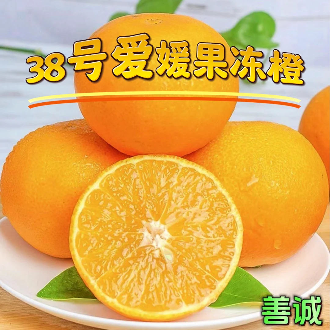 四川38号爱媛果冻橙4.5/8斤皮薄无籽酸甜爆汁新鲜当季橙子柑橘