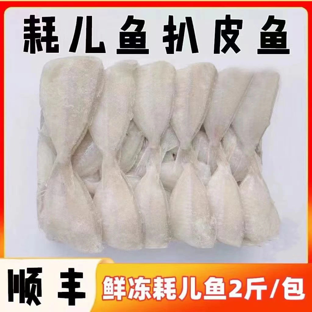 海鲜冻品小耗鱼马面鱼鲜冻剥皮鱼玻璃鱼鱼肉新鲜耗儿鱼包邮