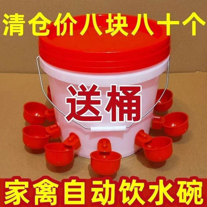 鸡鸭鹅家禽自动喂水器养殖专用水桶鸭鹅喂鸡自动饮水器鸽子饮水碗