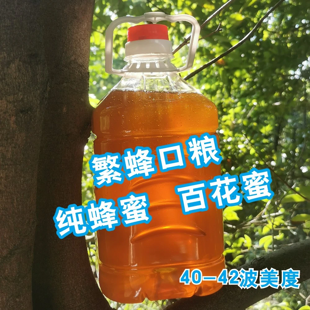 繁蜂蜂粮  洋槐蜜百花蜜杂蜜 纯蜂蜜  7斤装  四川发货 越冬物资