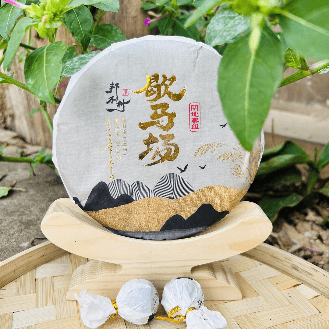 粉丝回馈《歇马场/阴地寨组》 2023/邦木村/头春/古树/生茶/200g/饼