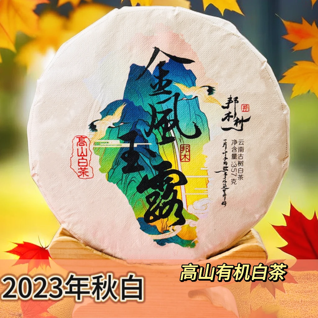 高山白茶《金风玉露》2023/邦木村/古树/有机/357g