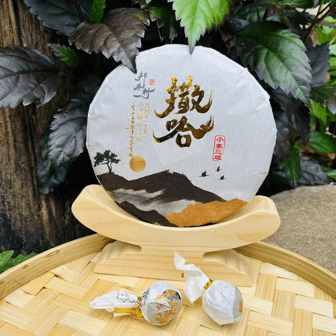《撒哈/小寨三组》 2023/邦木村/头春/古树/生茶/200g/饼/有机