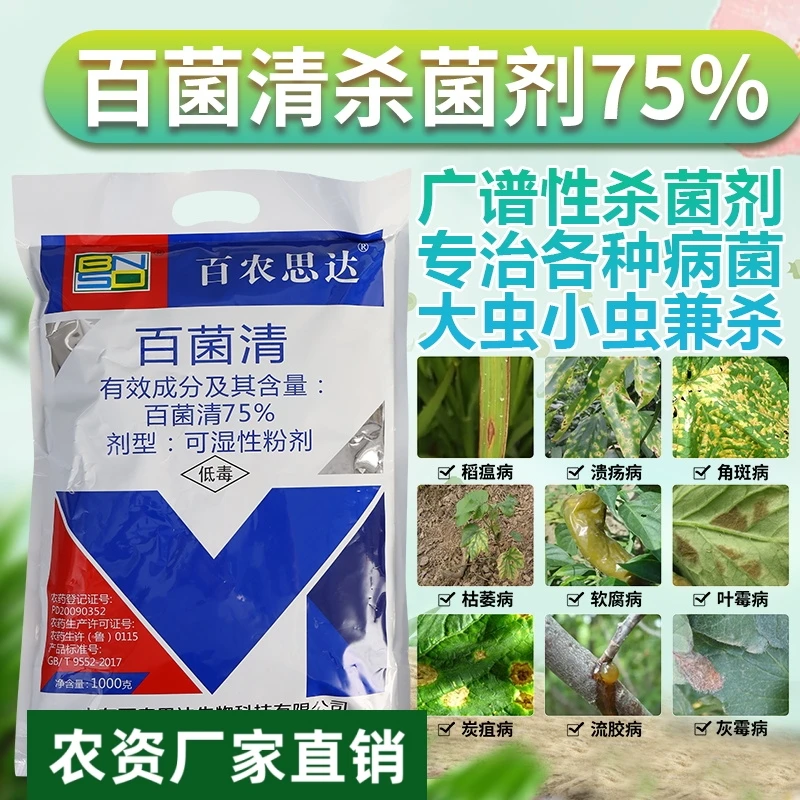 75%蓝色百菌清霜霉病早疫病炭疽病杀菌剂