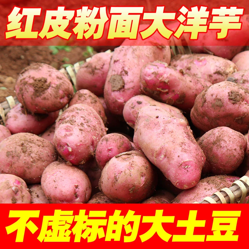 2024年新鲜云南红皮黄心粉面土豆产地直发