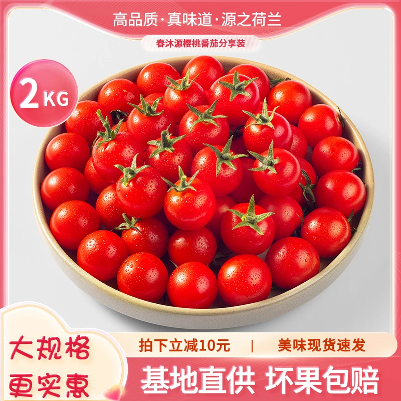 春沐源【分享装】樱桃番茄代餐安第斯红礼盒装整箱顺丰包邮