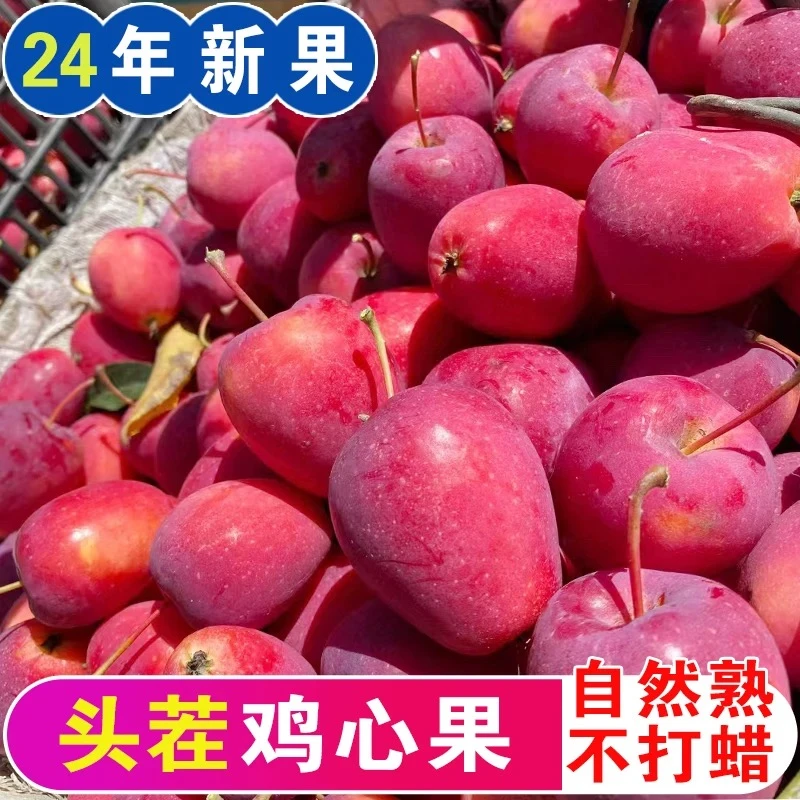 东北特产优选鸡心果【酸甜可口脆多汁水充足】/大果/中果/小果 包邮