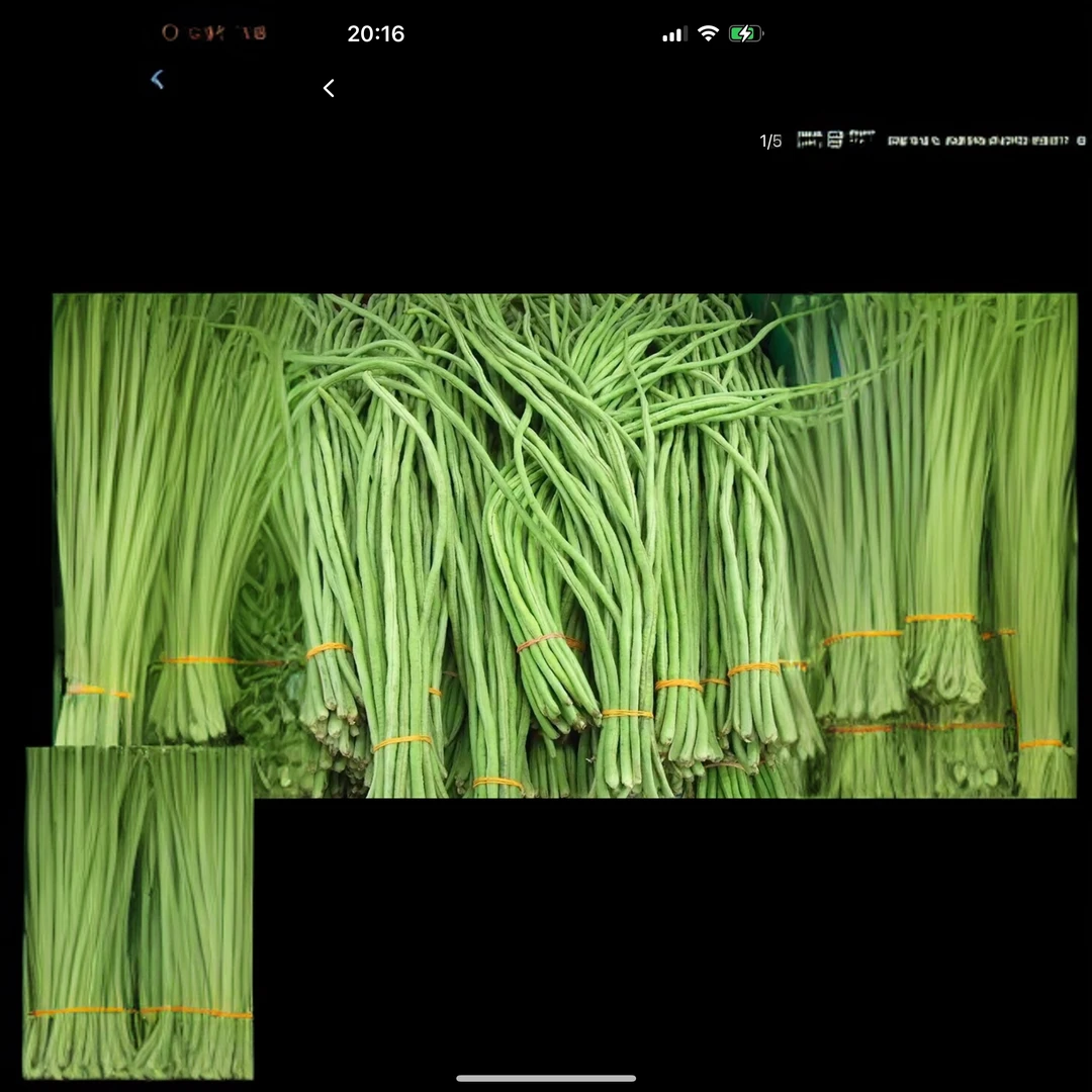 （长豆角）农家自种农产品