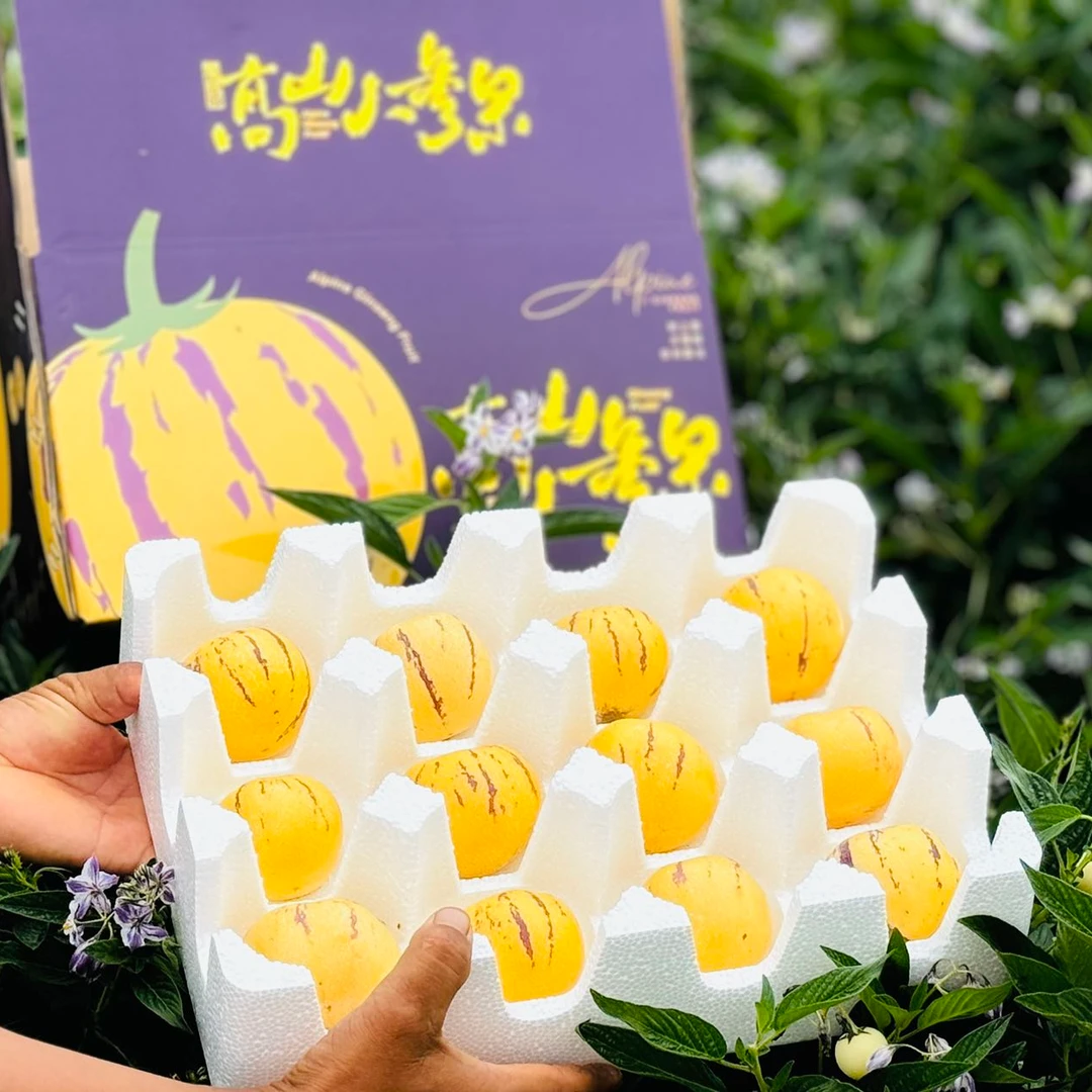 【黄蓉专属】攀枝花高山人参果 树上熟 阳光水果 5斤