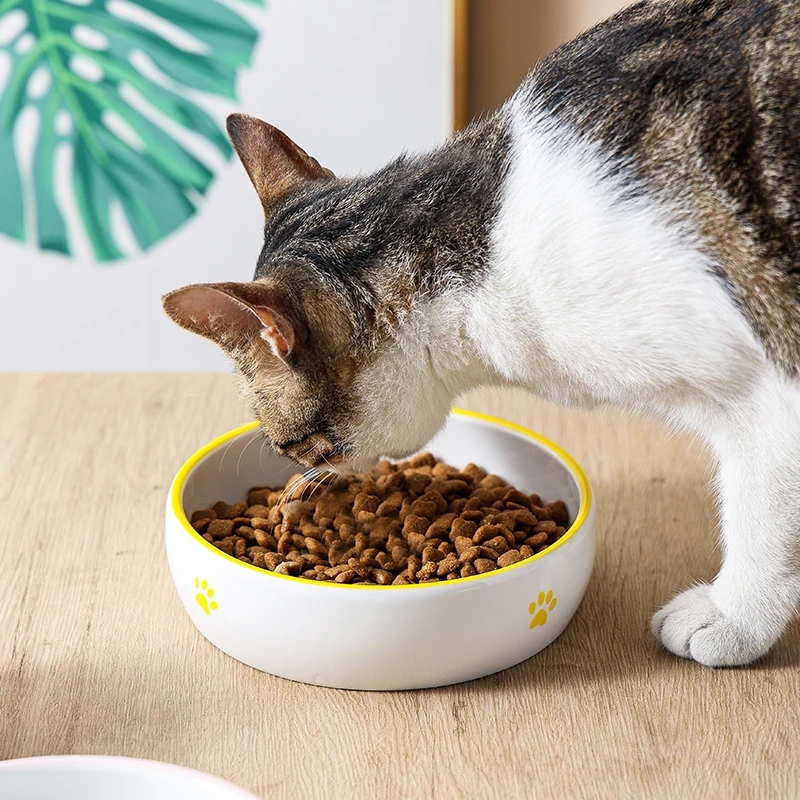 猫碗陶瓷高脚防打翻猫食盆猫咪碗保护颈椎狗碗食盆喝水碗宠物用品