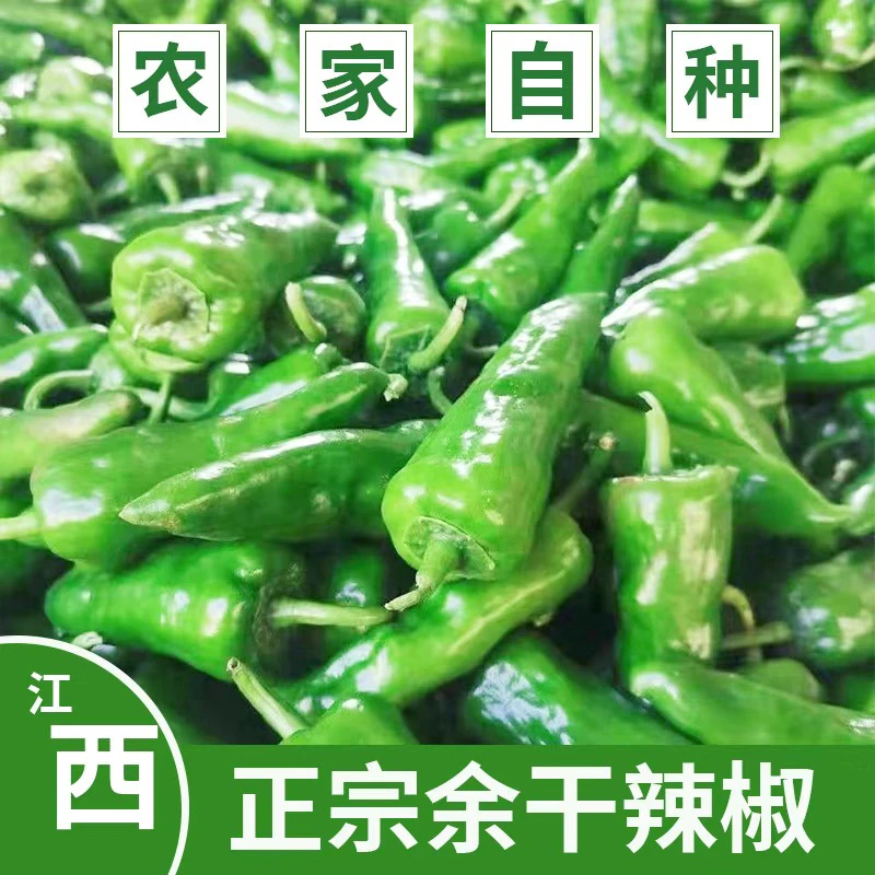 正宗余干小辣椒新鲜薄皮特辣青椒农家自种土辣椒特辣爆辣超辣腌泡