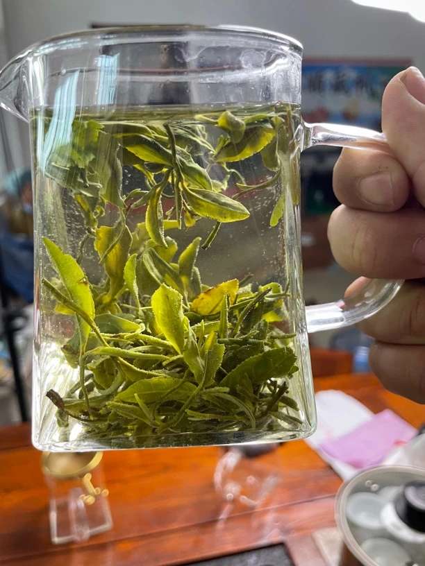 晚秋封园料新茶秋茶一芽一两叶豆香清新一斤500g