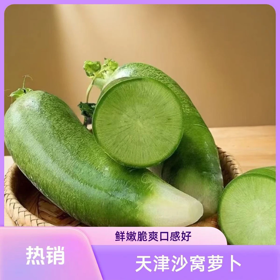 《一匹黑马》天津本地正宗沙窝萝卜 新鲜 现拔现发 京东顺丰包邮