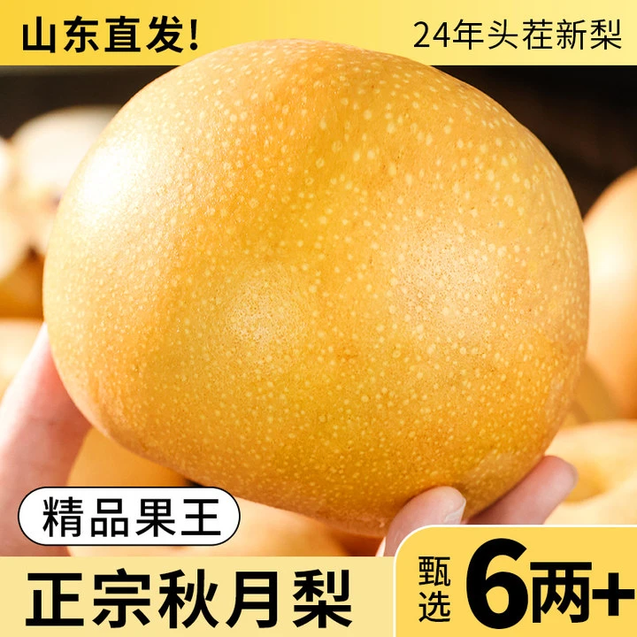 【正宗山东秋月梨】新鲜梨子当季现摘烟台莱阳莱西冰糖雪梨整箱包邮