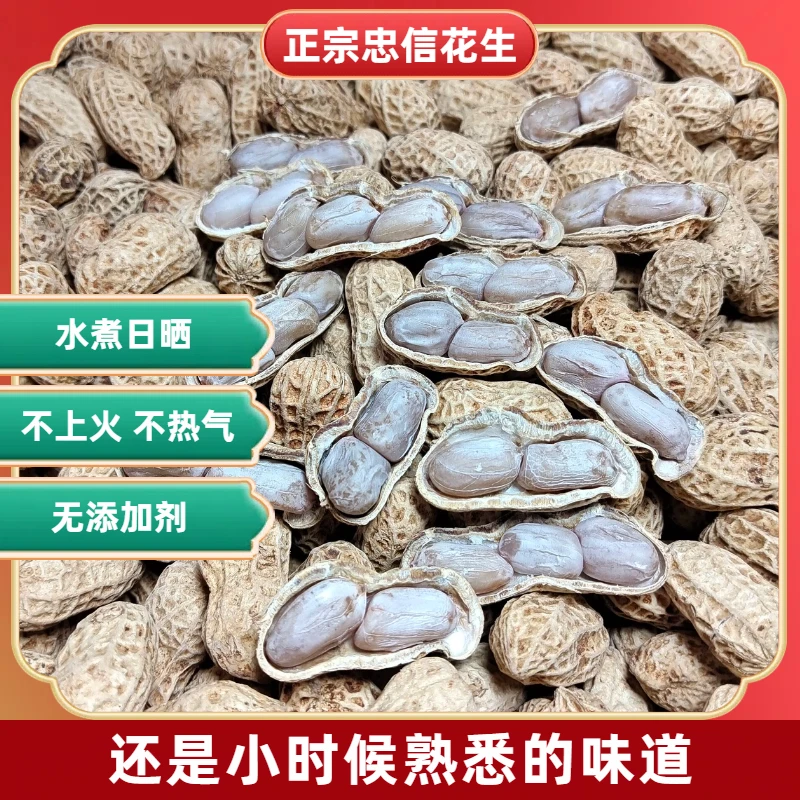 【3斤送2小包5斤送1斤】广东忠信水煮花生日晒干白玉咸干咸味熟零食