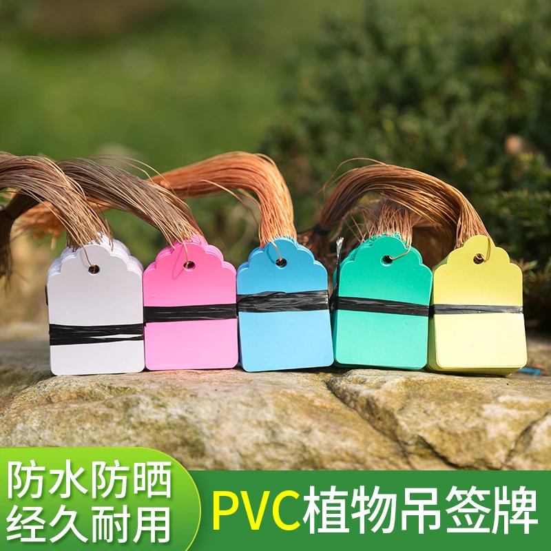 100张实验小挂牌绿植防水塑料吊签标牌花卉园艺苗木吊牌防老化彩