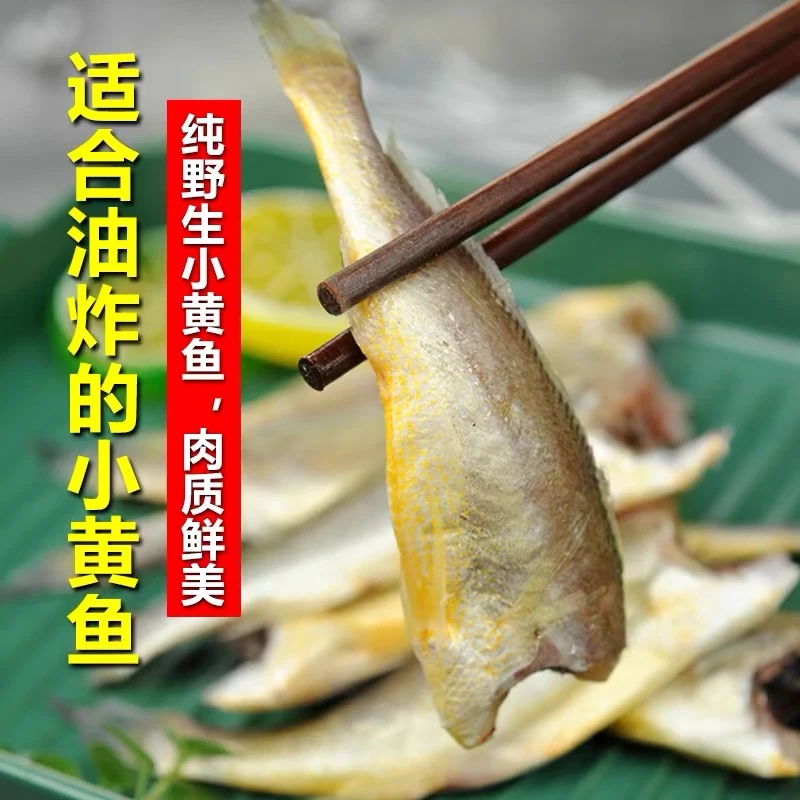 国产去头小黄花鱼一份3斤有冰衣