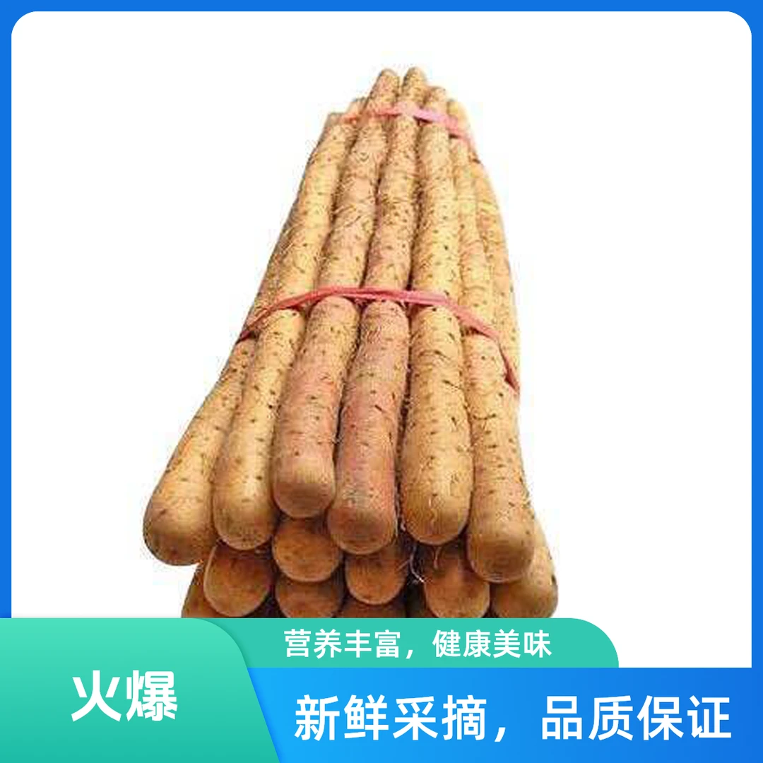 新鲜铁棍山药30-50CM产地直发宝宝辅食铁棍山药铁棍山药
