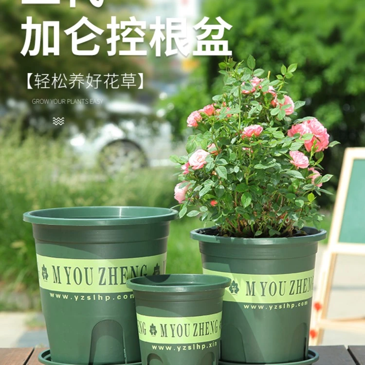 君子兰树脂控根塑料花盆