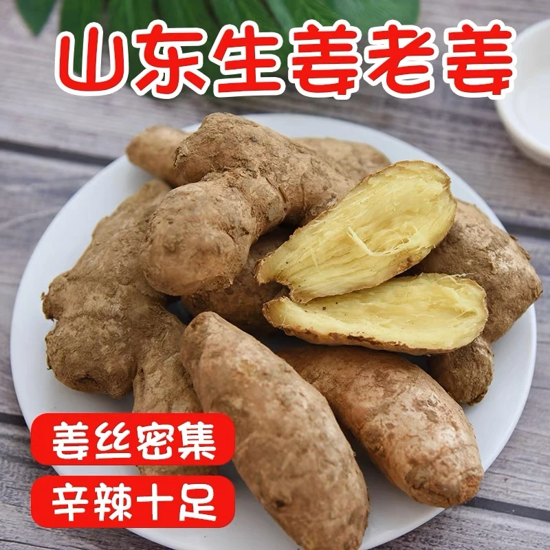 山东大姜老姜生姜姜块干姜子姜新鲜仔姜大姜黄姜姜味浓郁产地