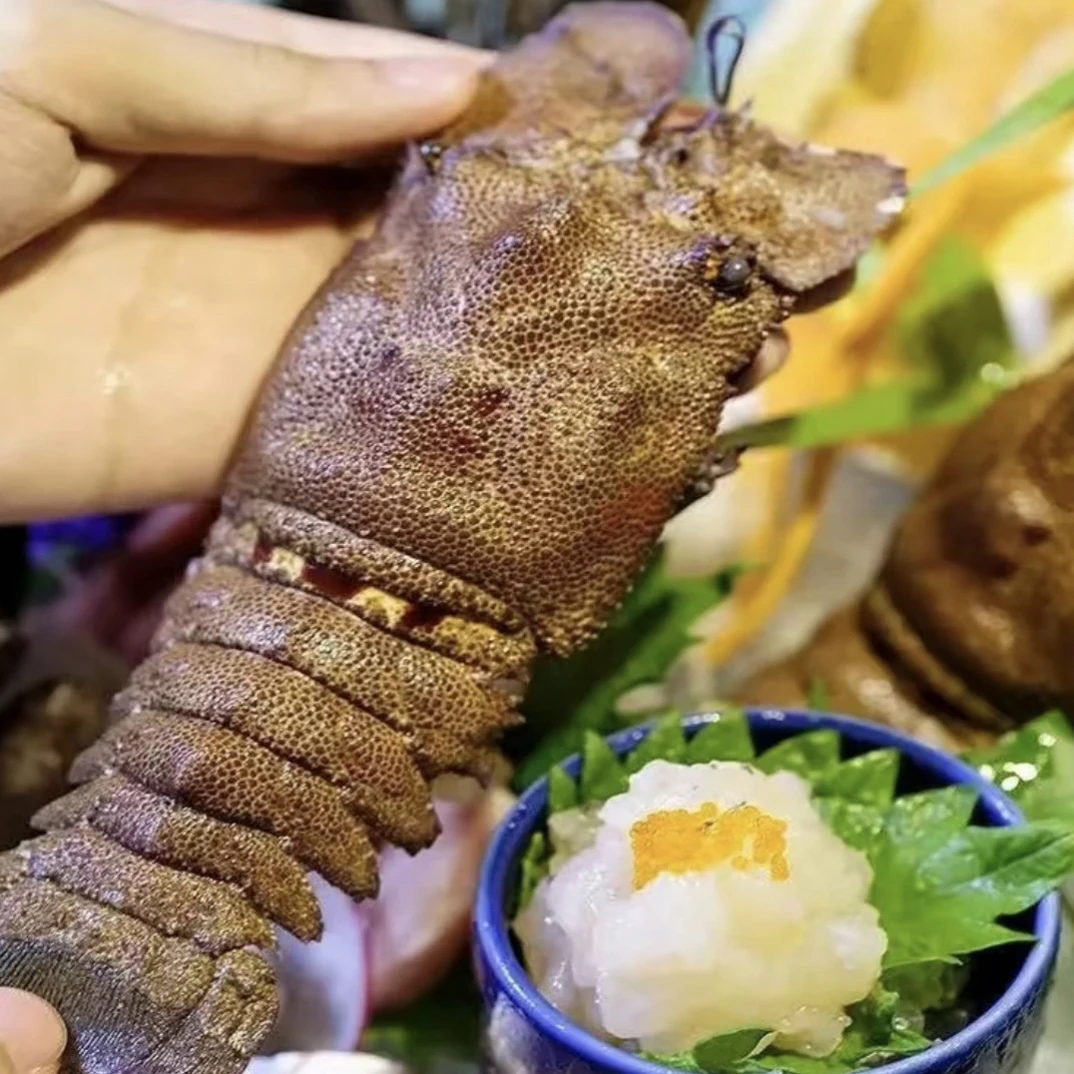 犀牛虾 冷冻发货 2斤装3～5只 不含冰衣