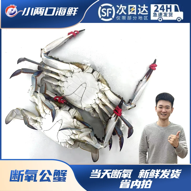 【保鲜不保活】断氧东港公蟹单只2到7两左右不保个数3斤起拍省内拍