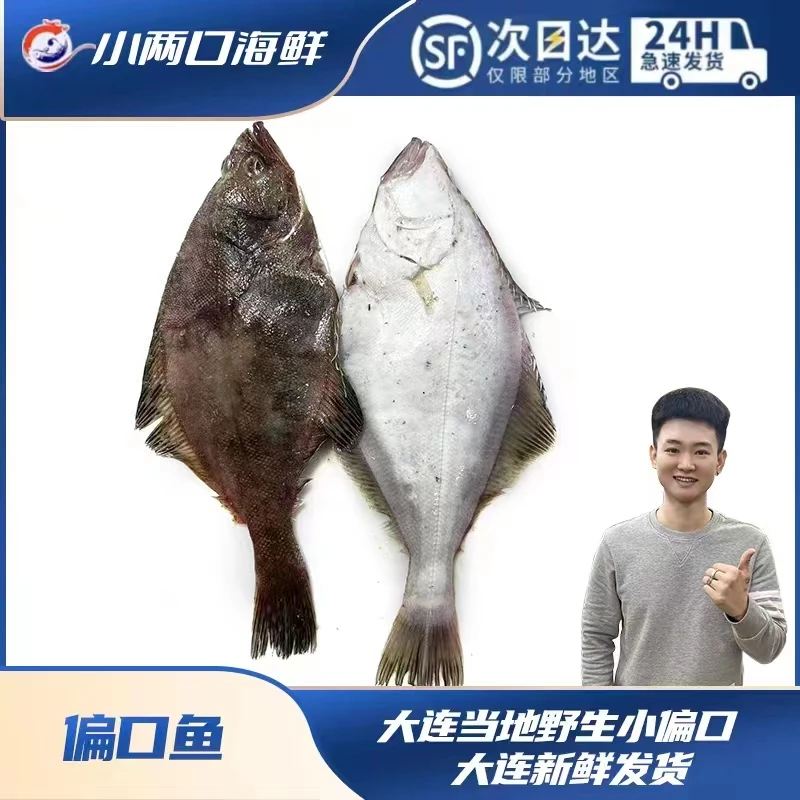【小两口海鲜】偏口鱼4斤.省内包邮大连发货