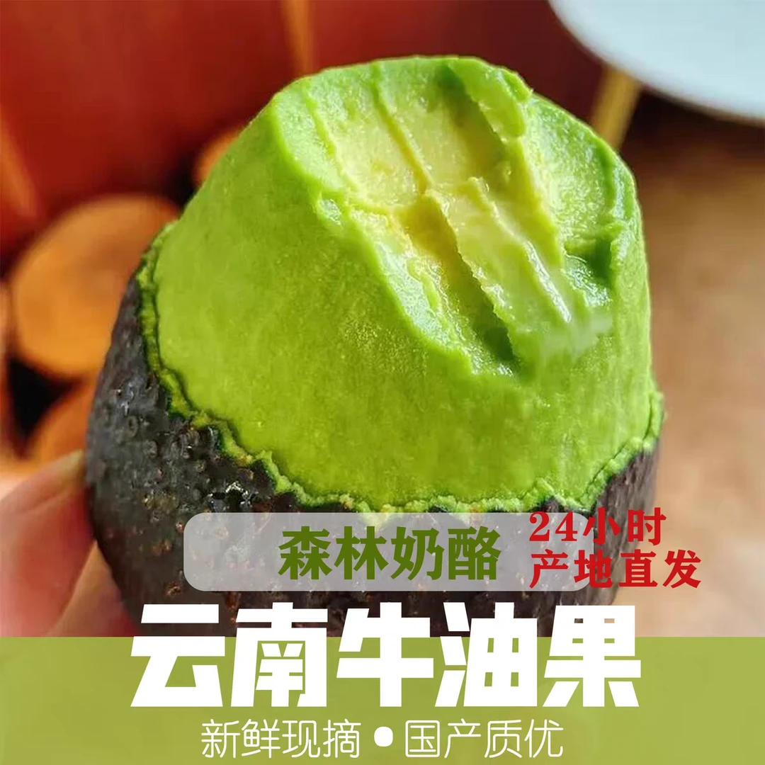 【10个装】正宗云南哈斯奶酪牛油果当季新鲜采摘国产鳄梨坏果包赔