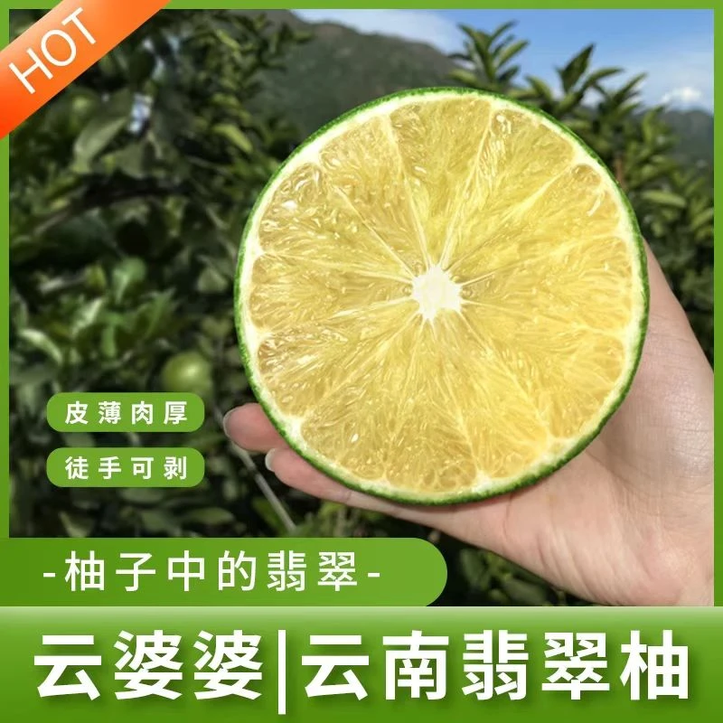 云南翡翠柚【手撕薄皮+清甜爆汁+黄金酸甜比】国产葡萄柚现货速发