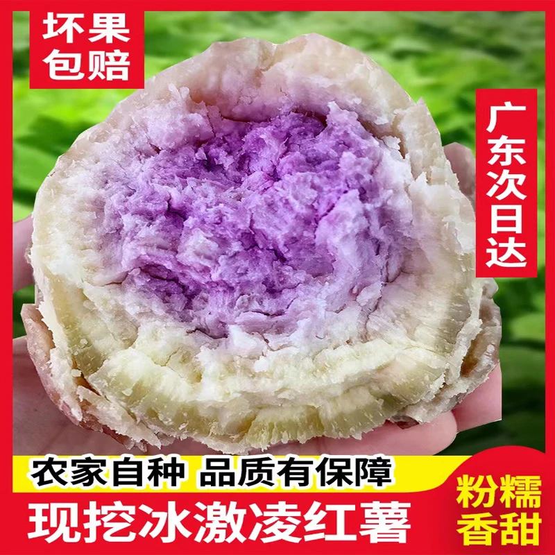 广东沙地一点红冰淇淋番薯粉糯香甜板栗现挖番薯净重3/5/9斤