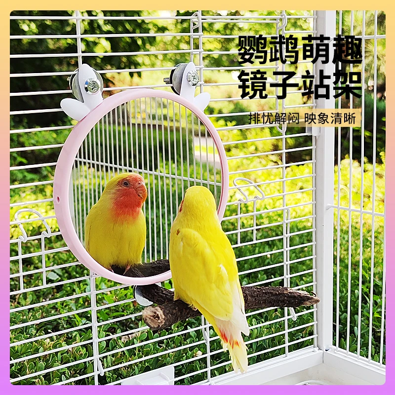 TASHU鹦鹉梳妆镜牡丹虎皮玄凤解闷自嗨笼内挂镜装饰鸟玩具用品