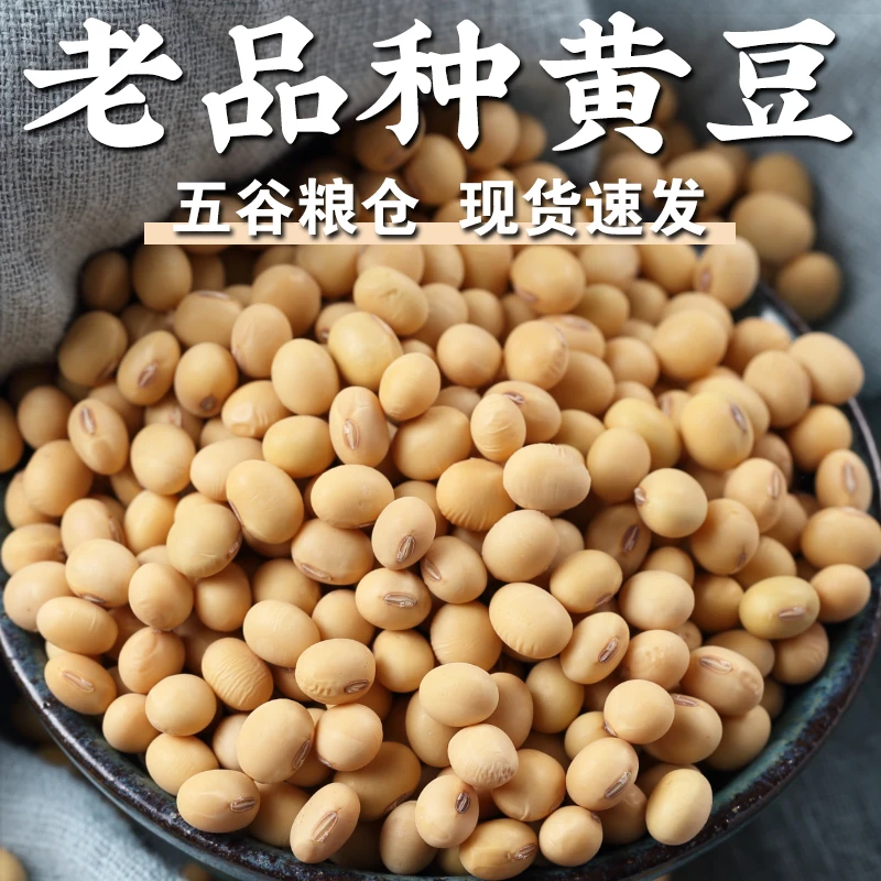 【规格齐全】老品种黄豆大豆老黄豆土黄豆圆粒黄豆笨黄豆豆浆专用豆