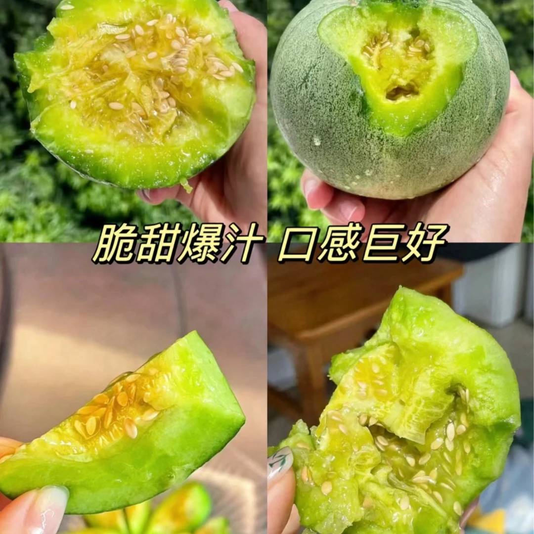 绿宝石甜瓜（中果）G