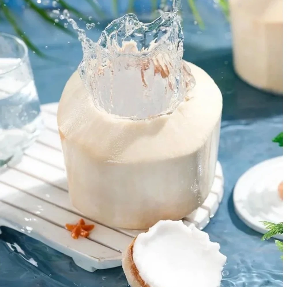 泰国椰青1个｜整果未开g