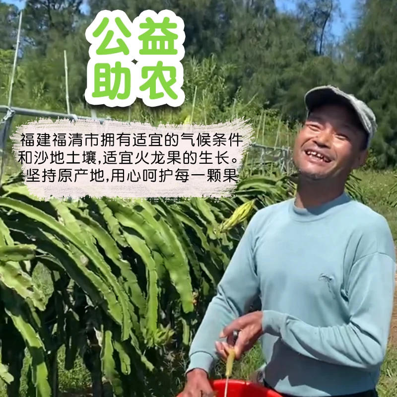 福建优选助农新鲜火龙果 皮薄多汁 饱满鲜嫩