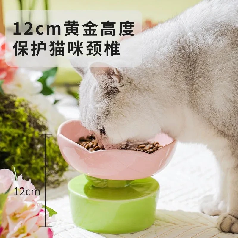 猫碗陶瓷宠物陶瓷碗高脚斜口护颈防黑下巴大口径主粮碗喝水碗全瓷