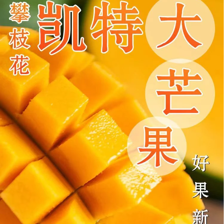 【催熟食用】正宗四川攀枝花凯特芒大芒果超甜新鲜水果