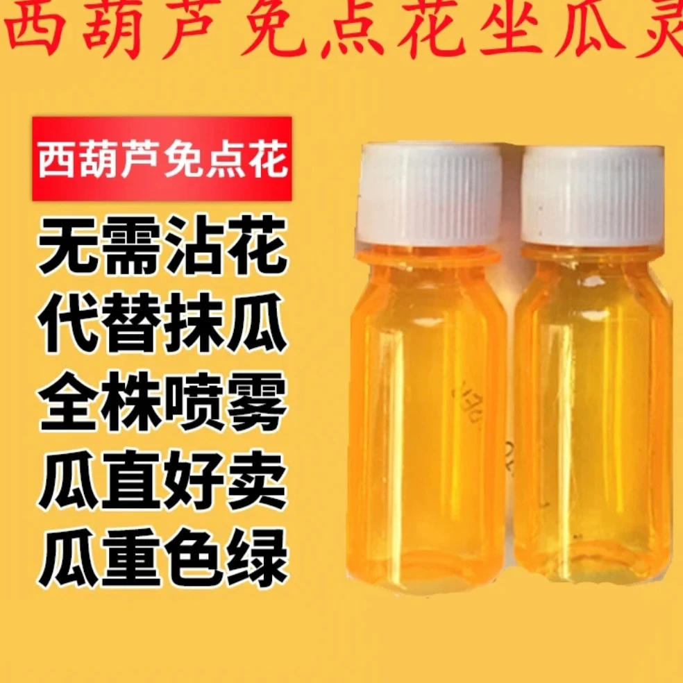 西葫芦免点花坐果灵西葫芦点花药